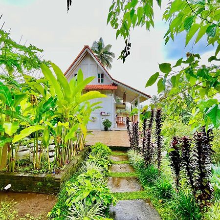 Pondok Is Oke Villa Scenic View Banyuwangi  Eksteriør billede