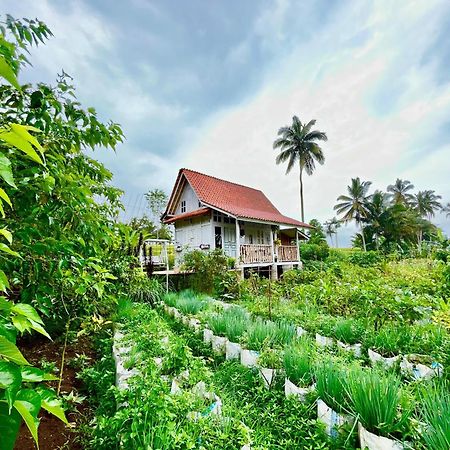 Pondok Is Oke Villa Scenic View Banyuwangi  Eksteriør billede