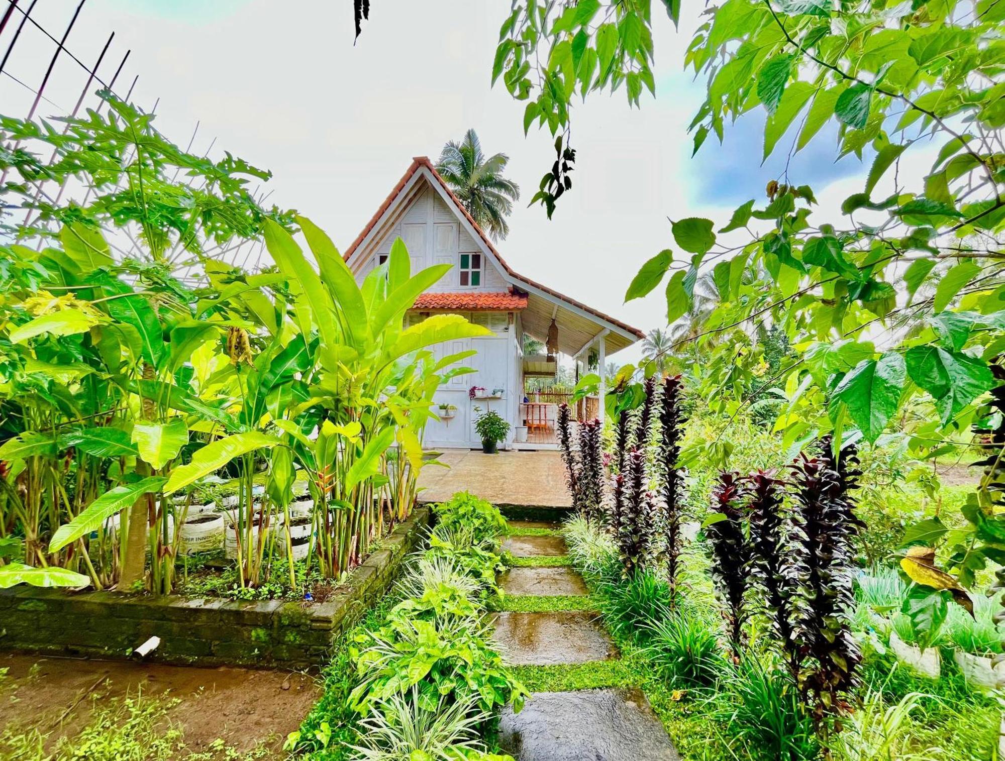 Pondok Is Oke Villa Scenic View Banyuwangi  Eksteriør billede
