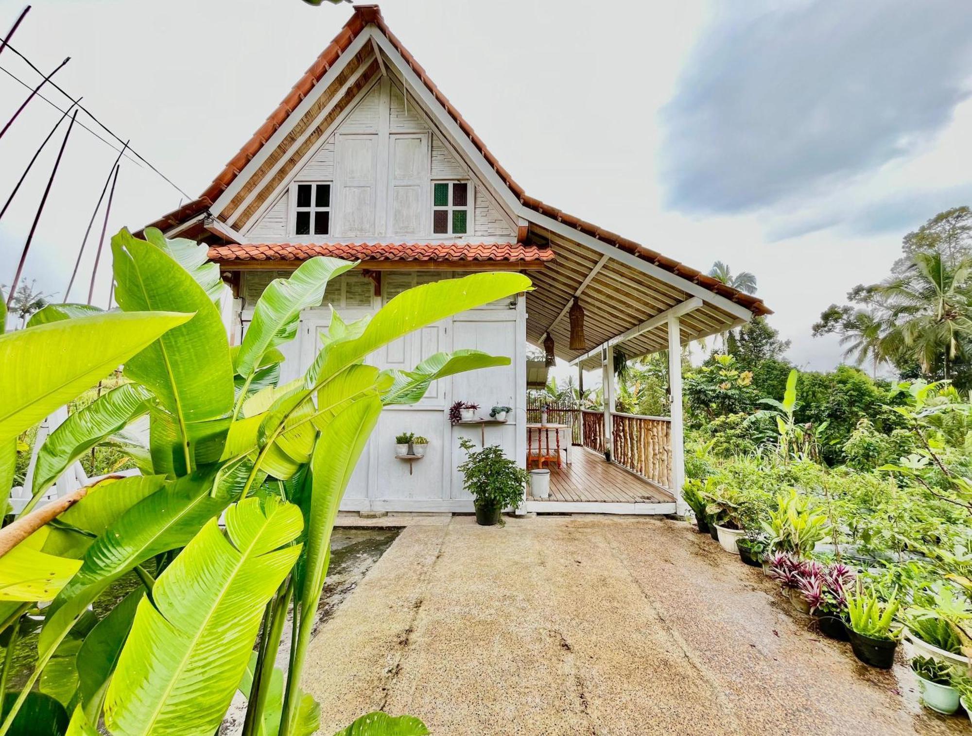 Pondok Is Oke Villa Scenic View Banyuwangi  Eksteriør billede