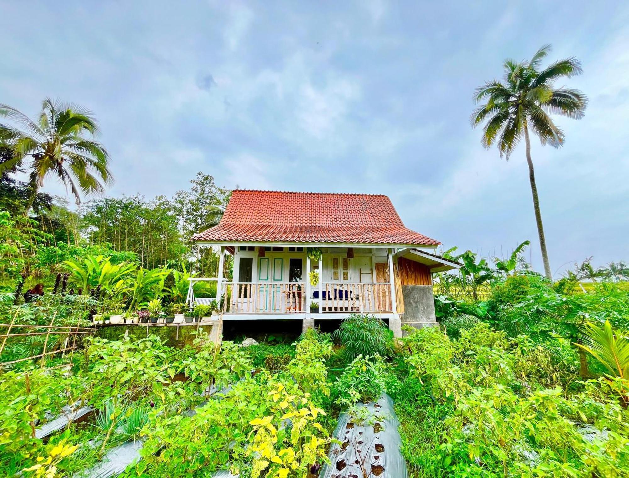 Pondok Is Oke Villa Scenic View Banyuwangi  Eksteriør billede