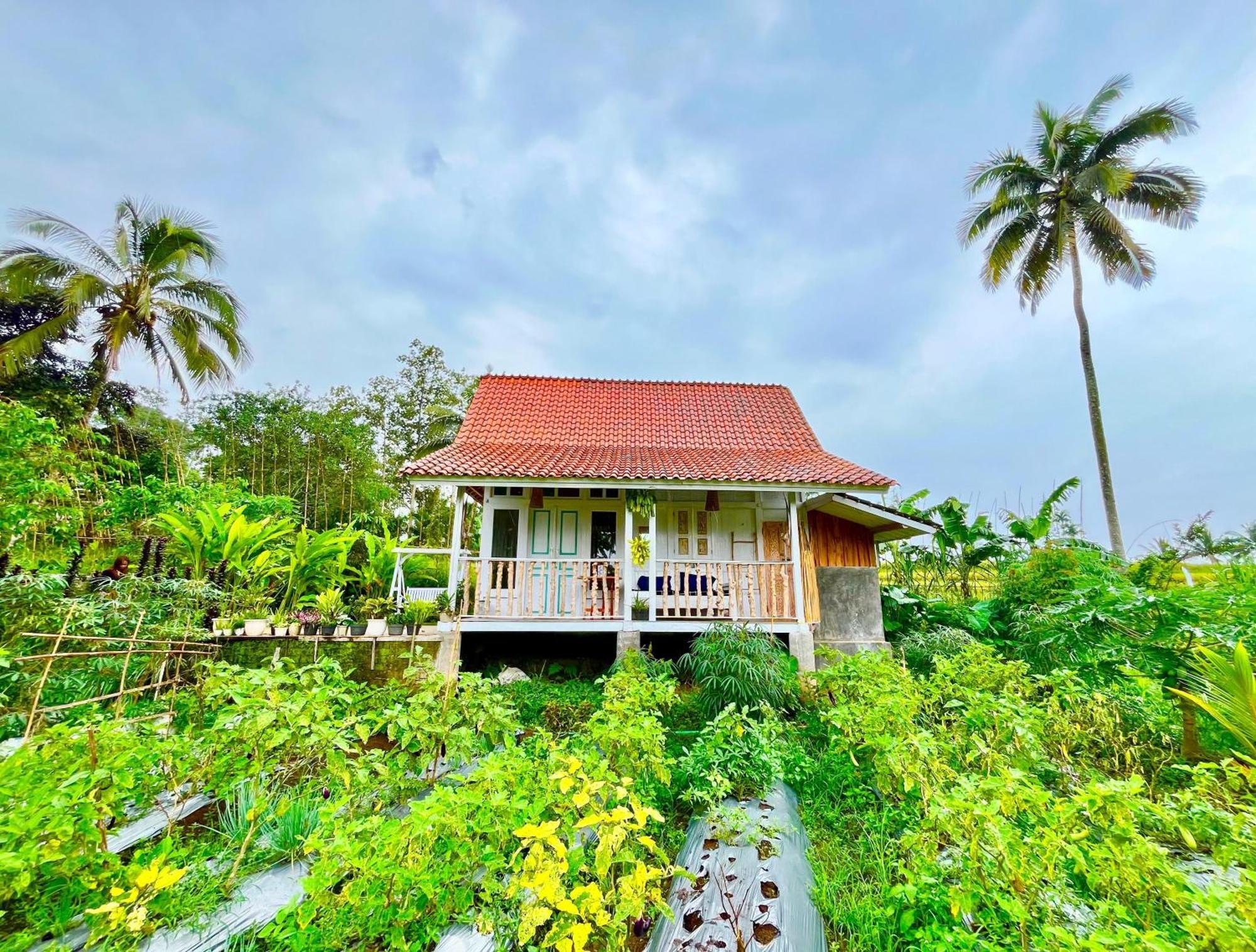 Pondok Is Oke Villa Scenic View Banyuwangi  Eksteriør billede