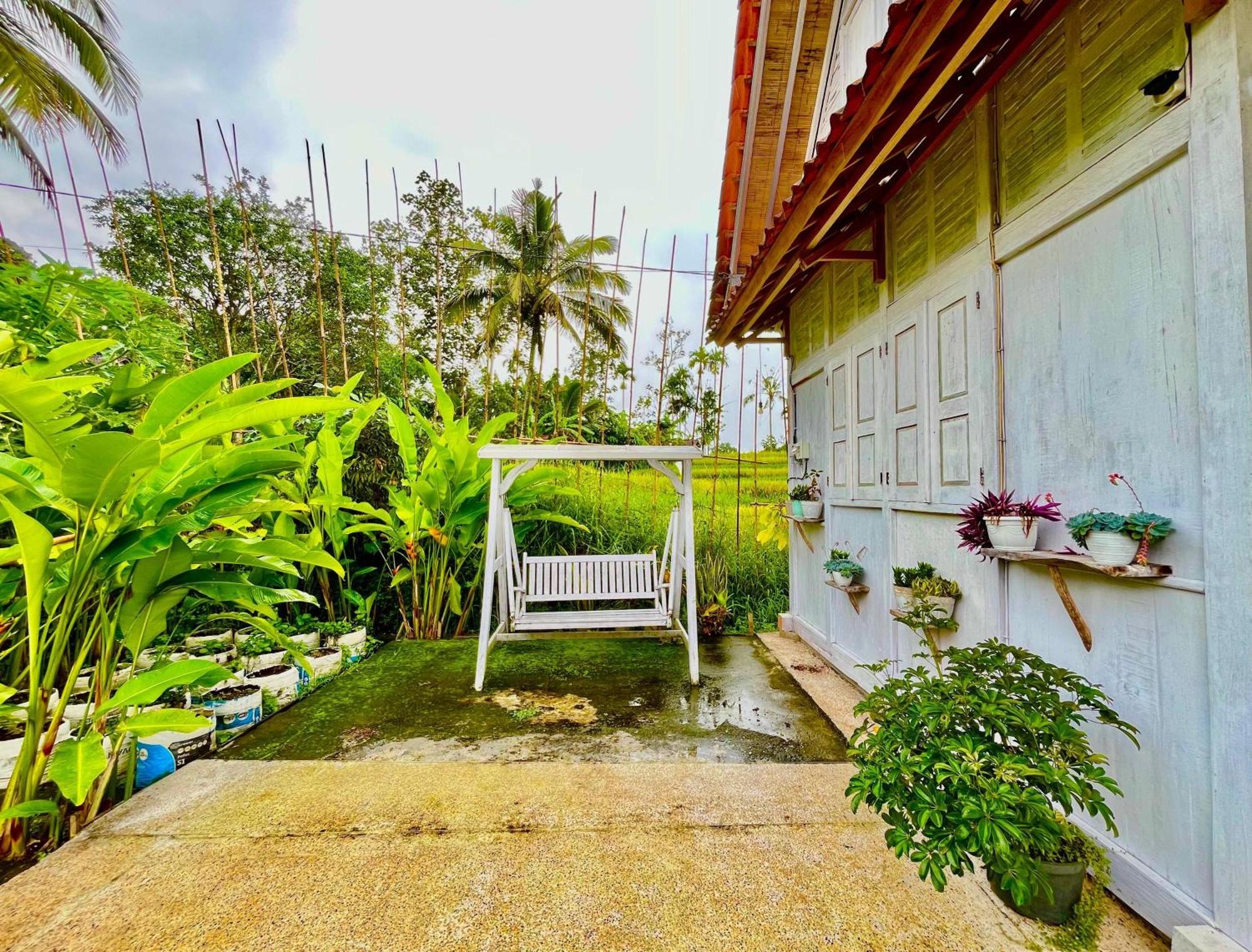 Pondok Is Oke Villa Scenic View Banyuwangi  Eksteriør billede