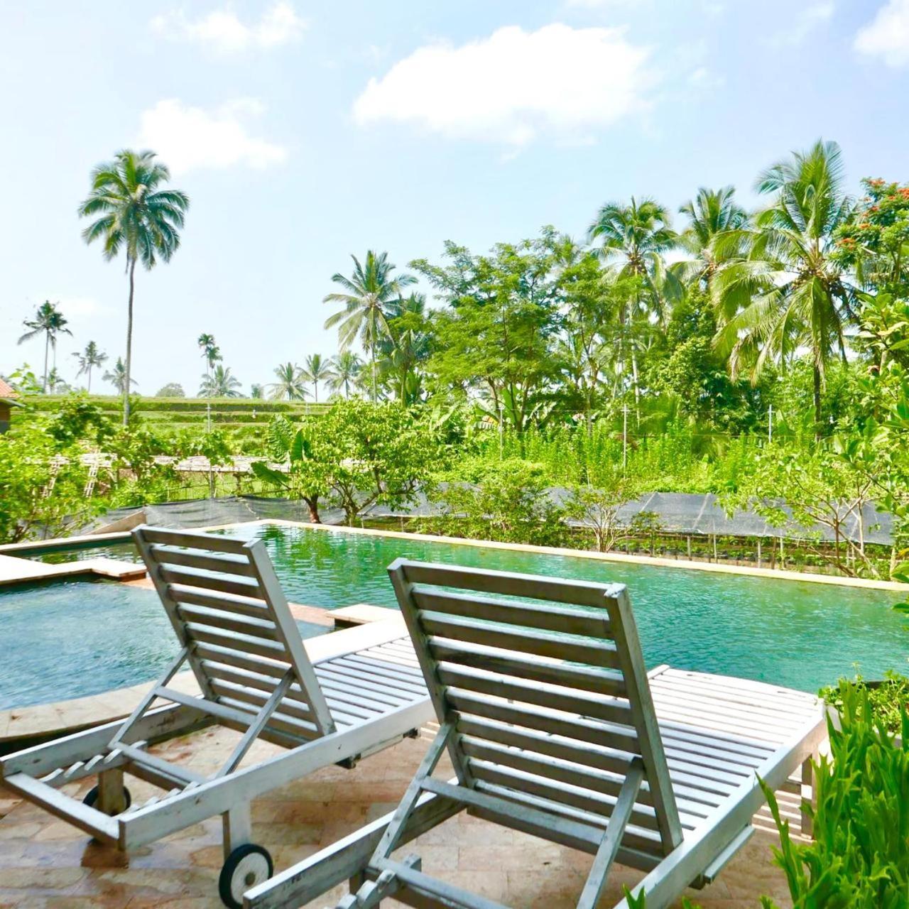 Pondok Is Oke Villa Scenic View Banyuwangi  Eksteriør billede