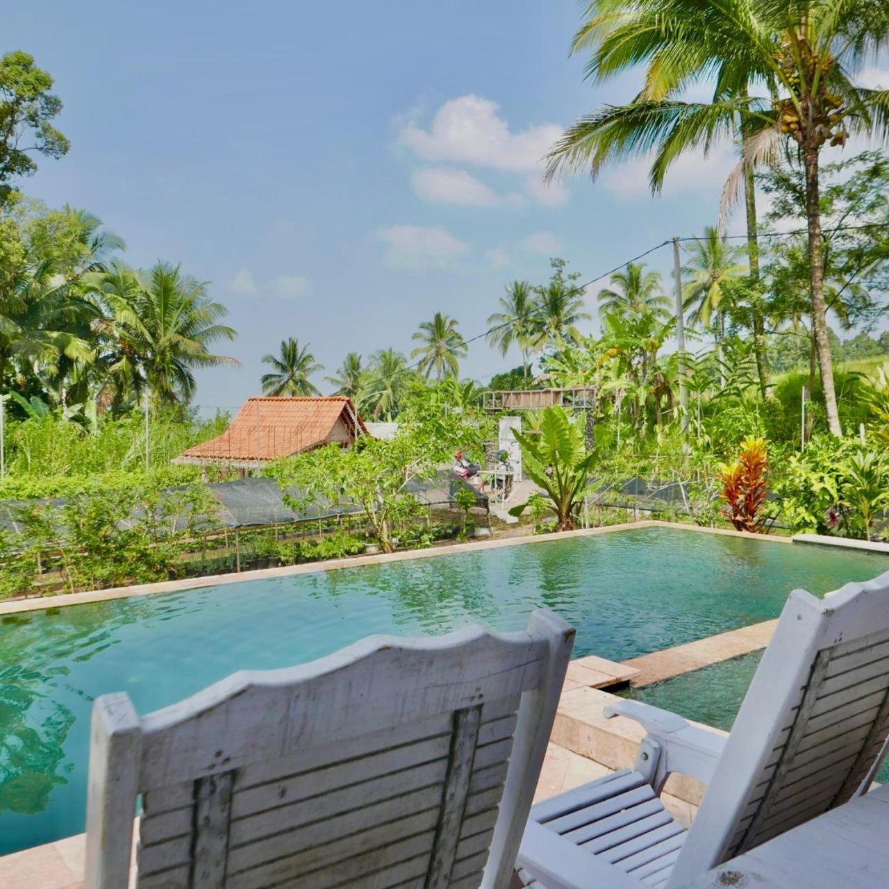 Pondok Is Oke Villa Scenic View Banyuwangi  Eksteriør billede