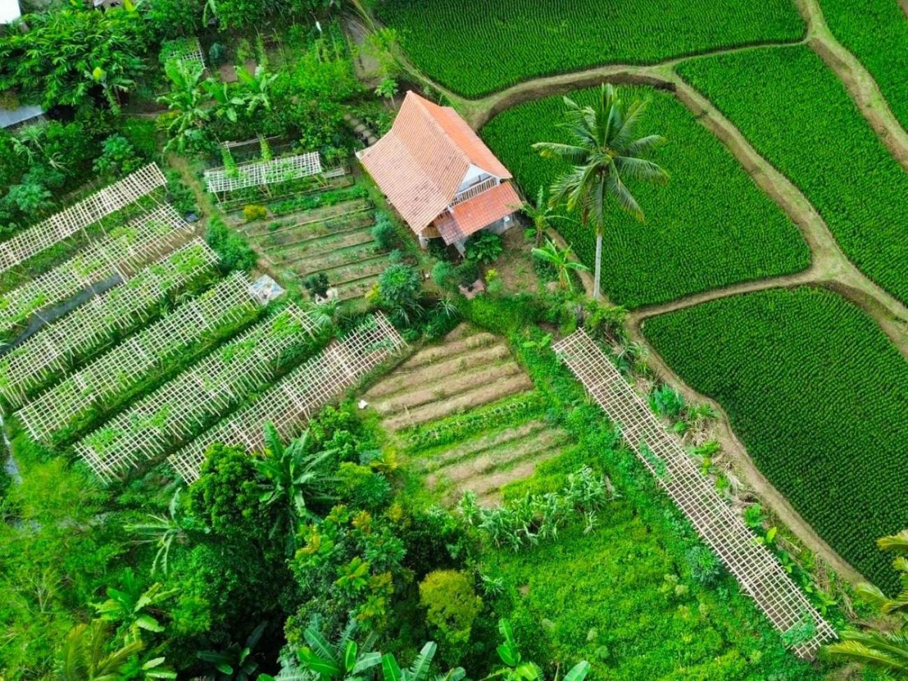 Pondok Is Oke Villa Scenic View Banyuwangi  Eksteriør billede