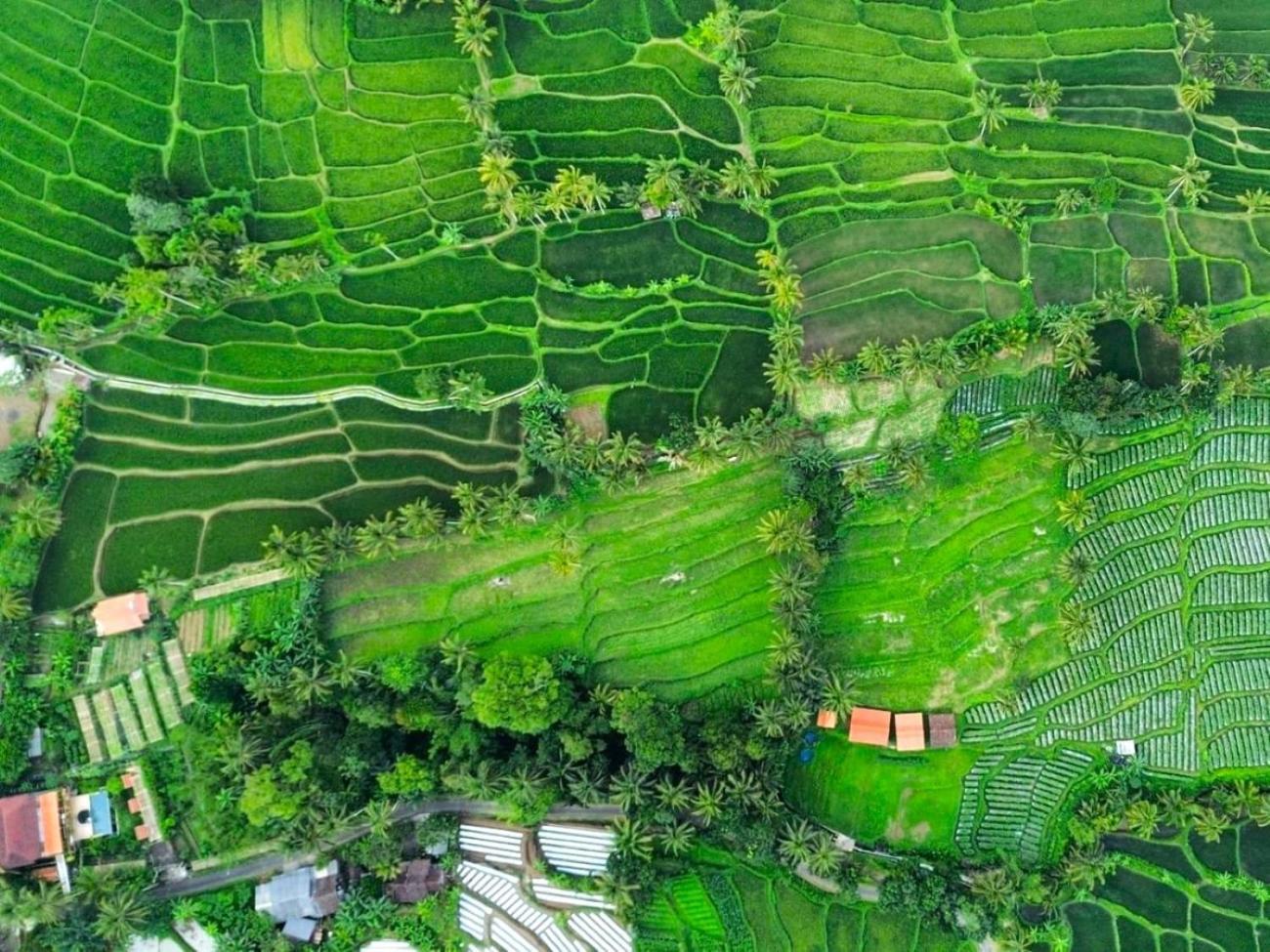 Pondok Is Oke Villa Scenic View Banyuwangi  Eksteriør billede