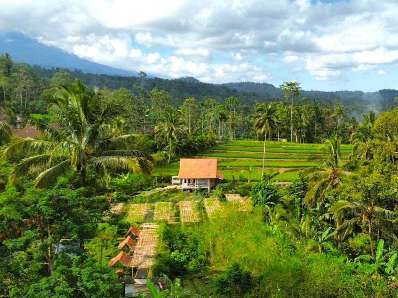 Pondok Is Oke Villa Scenic View Banyuwangi  Eksteriør billede
